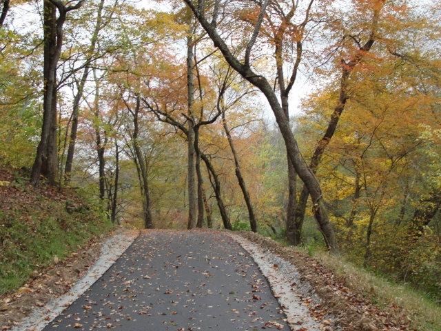 Mount Airy's Ararat River Greenway Kids in Parks